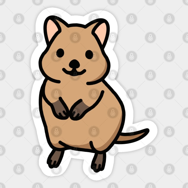 Quokka Sticker by littlemandyart